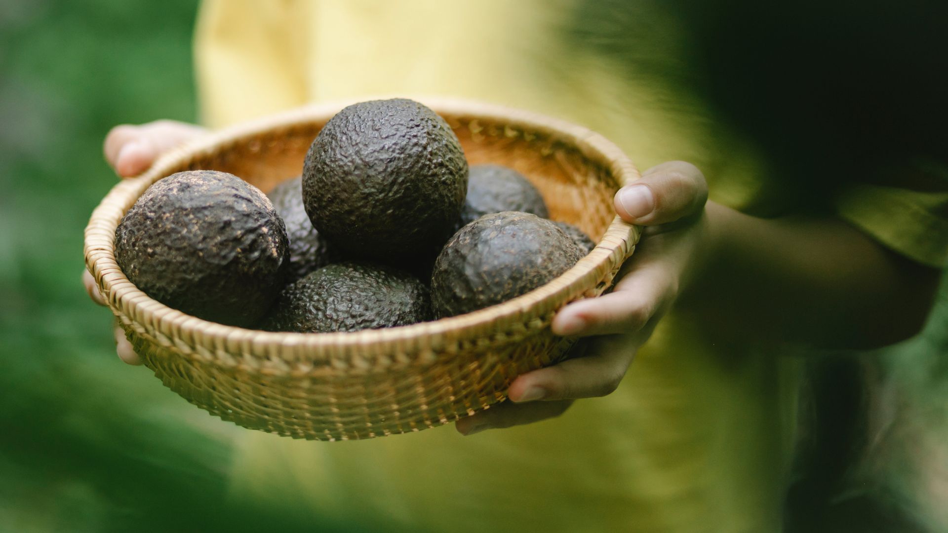 Aguacate Hass IRMAN Fresh